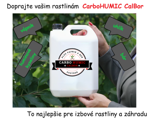 Predstavenie produktov