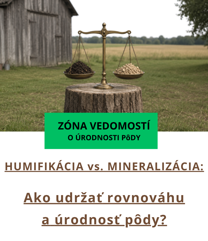 Humifikácia vs. mineralizácia: Ako udržať rovnováhu a úrodnosť pôdy?