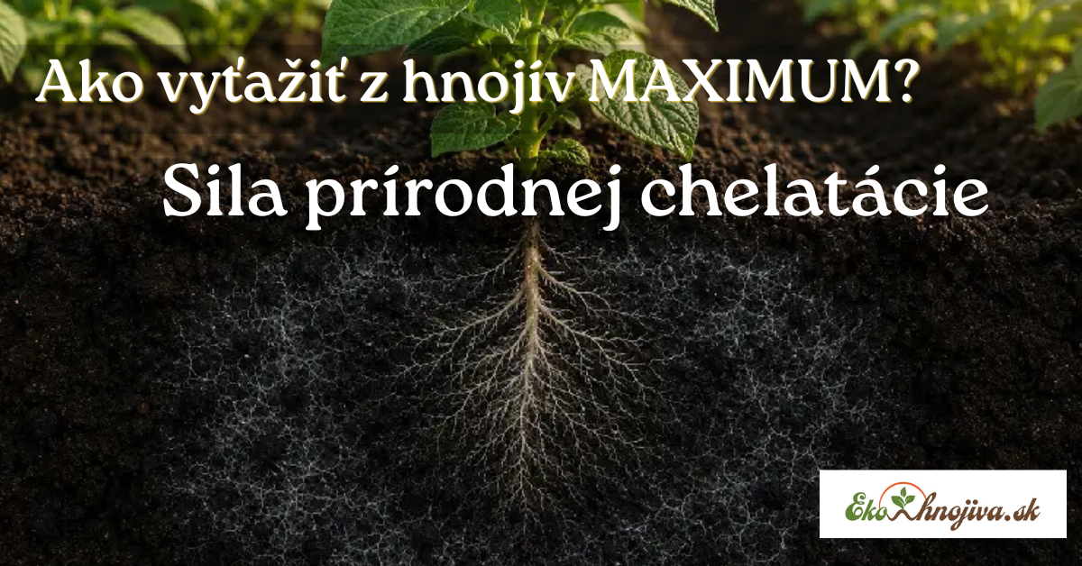 Ako vyťažiť z hnojív maximum? Sila prírodnej chelatácie pre zdravú pôdu a vyššiu úrodu