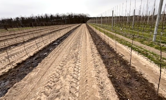 Na čo mi je humus na zadržiavanie vody v pôde, keď aj tak neprší?