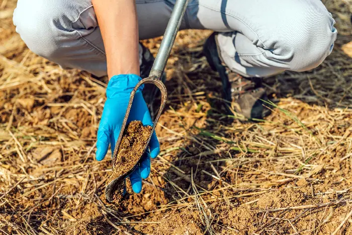 Detailný pohľad na pôdnu sondu so vzorkou zeminy v ruke agrónoma