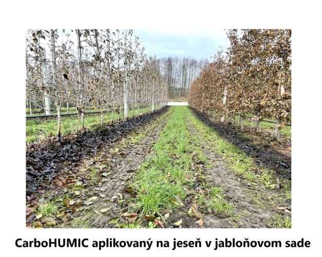 CarboHUMIC aplikovaný na jeseň v jabloňovom sade