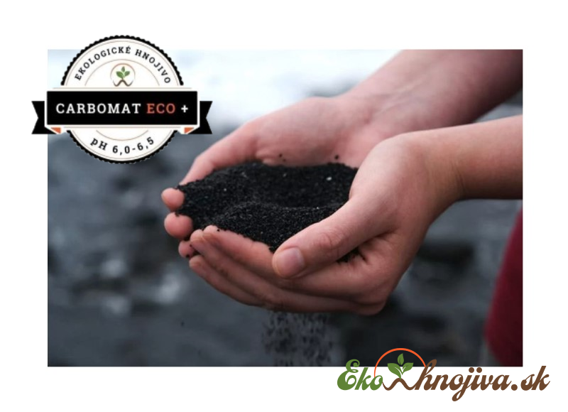 Drobný lignit Carbomat ECO v ľudských dlaniach je 100%-ne organický praveký humus