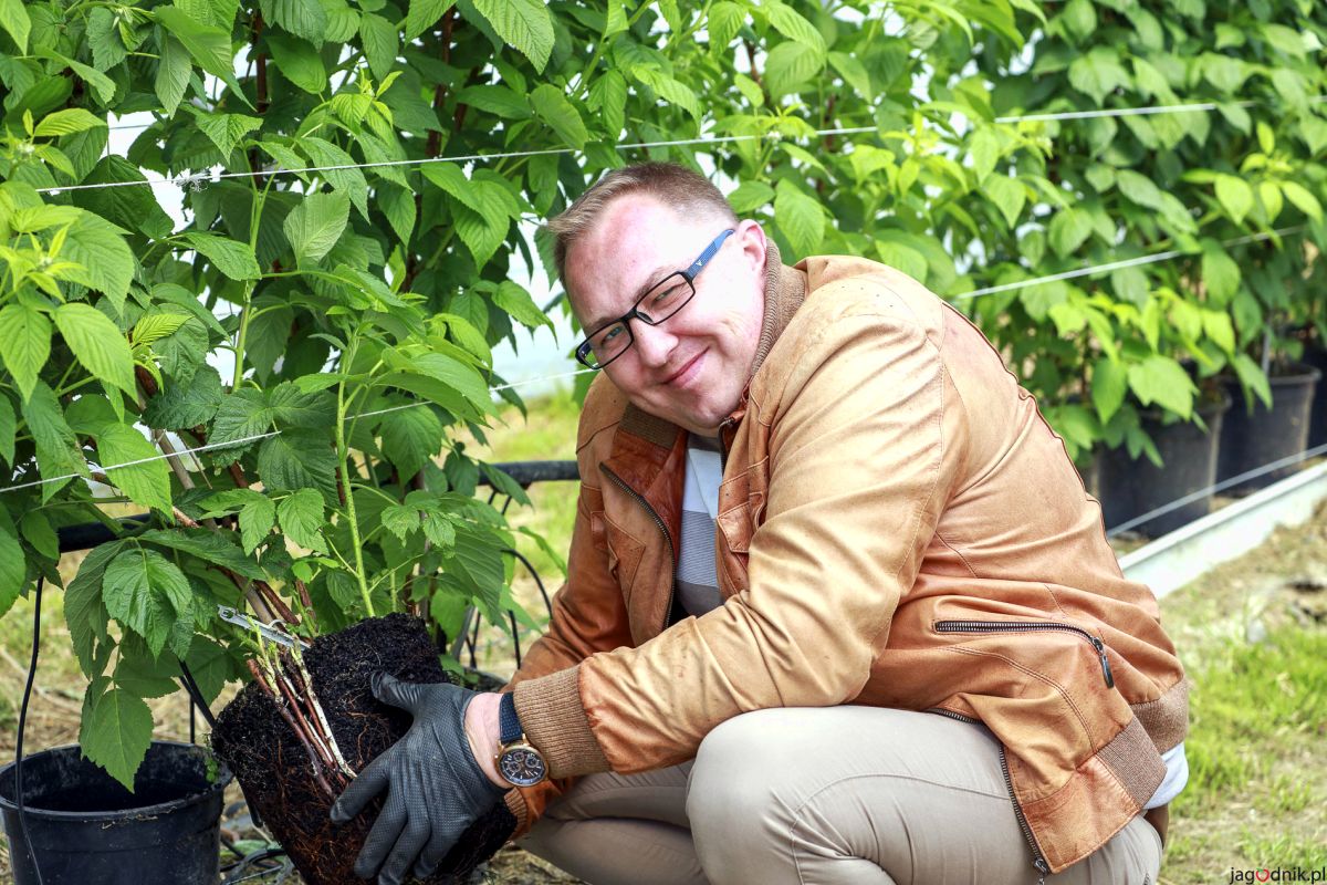 Rastliny malín pestované s Carbomat ECO v kvetináčoch ukazuje producent Carbomatu