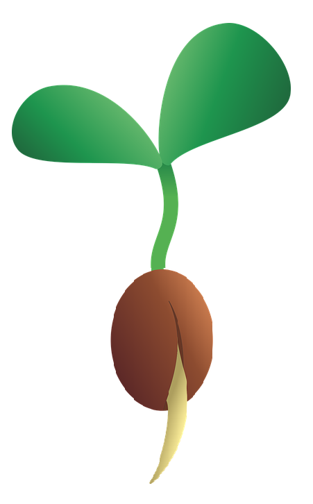 AKO DÁVKOVAŤ HMYZIE HNOJIVO TRUSEKO AGRO PRÉMIUM - obiloviny