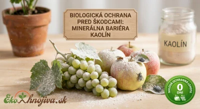 Kaolín 3kg