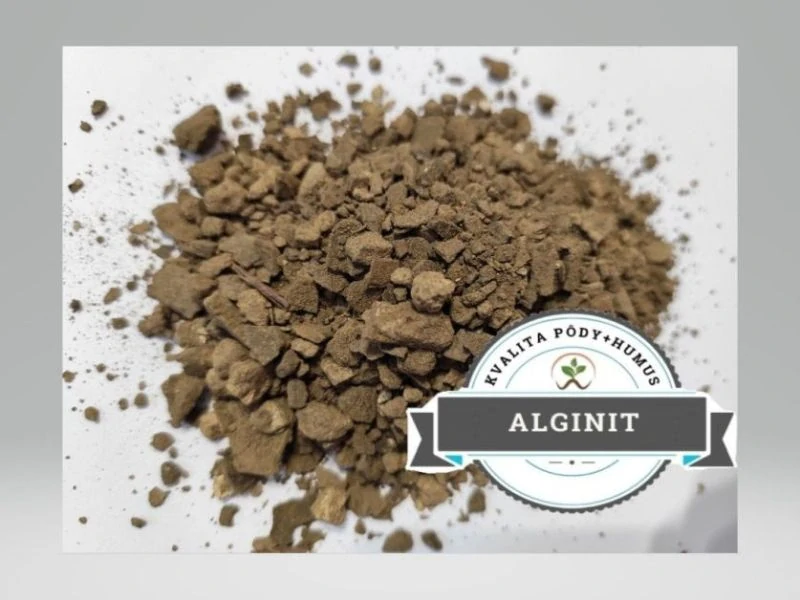 Alginit 5kg