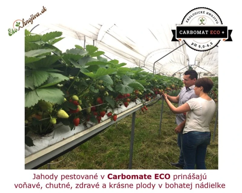 CARBOMAT ECO + 1000l s ph 6,0 - 6,5