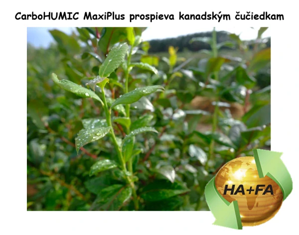 CarboHumic MaxiPlus 250ml