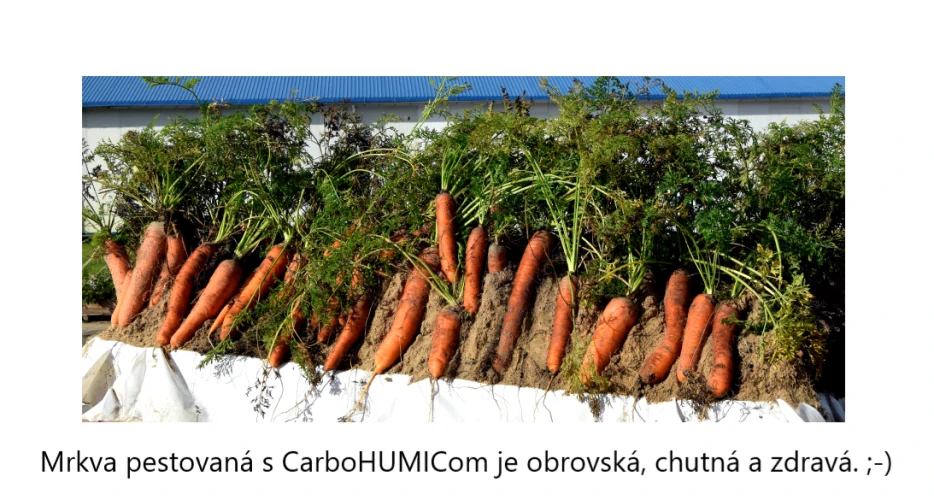 CarboHumic Zálievka 1l