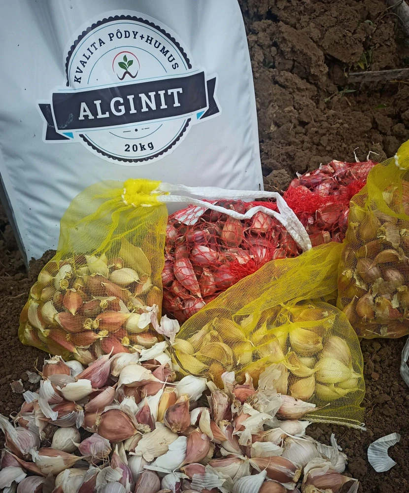 Alginit 19,5kg