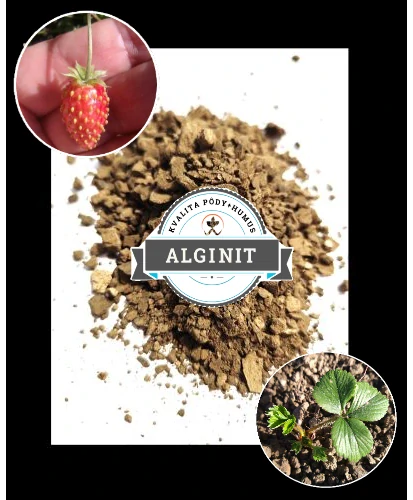 Alginit 5kg