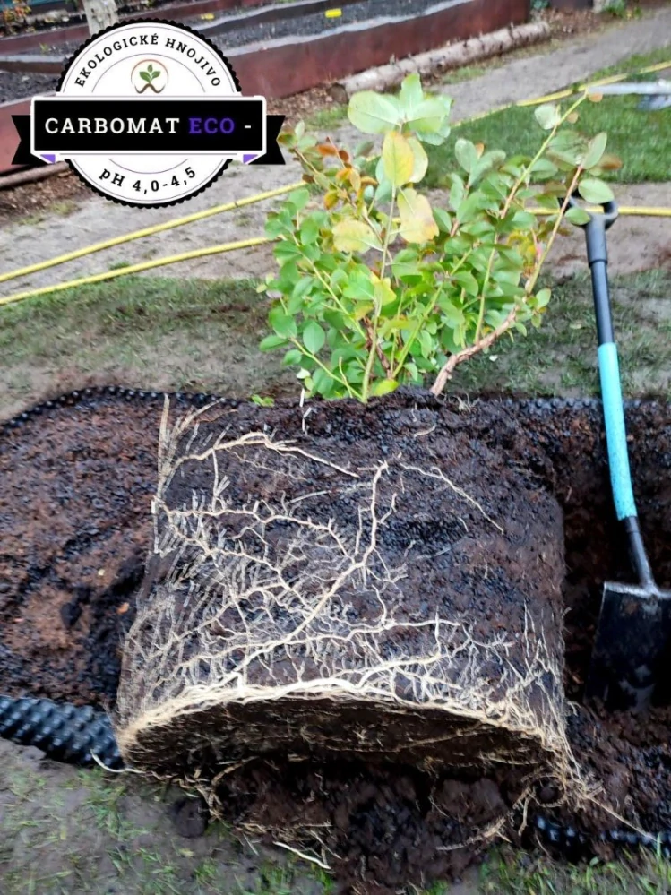 CARBOMAT ECO - 25l