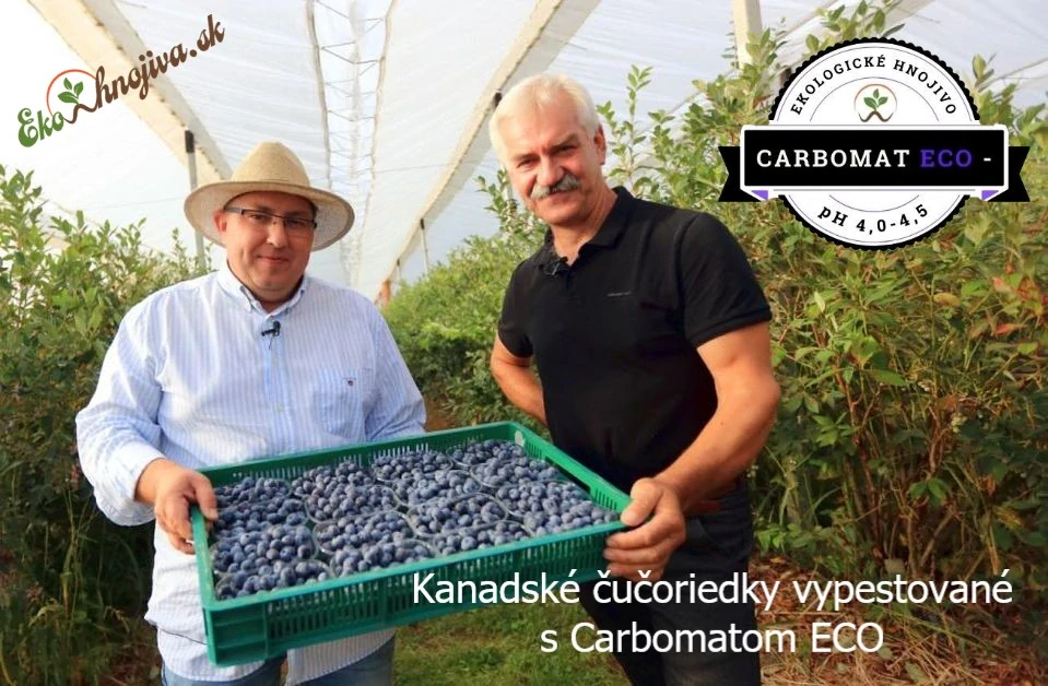 CARBOMAT ECO - 1000l s ph 4,0 - 4,5