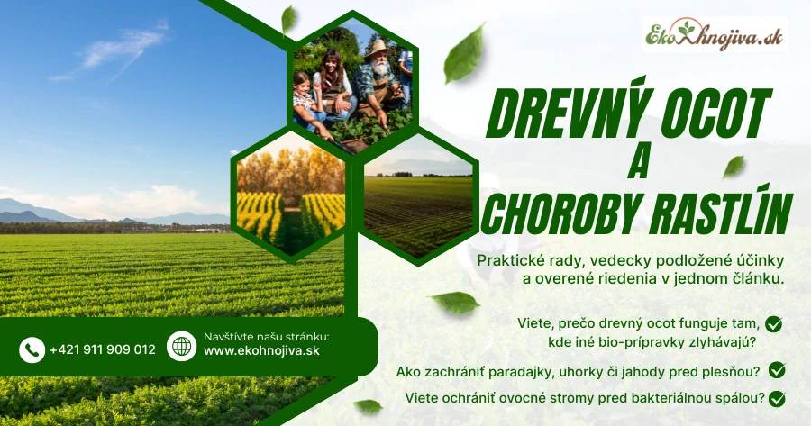 Drevný ocot 5l