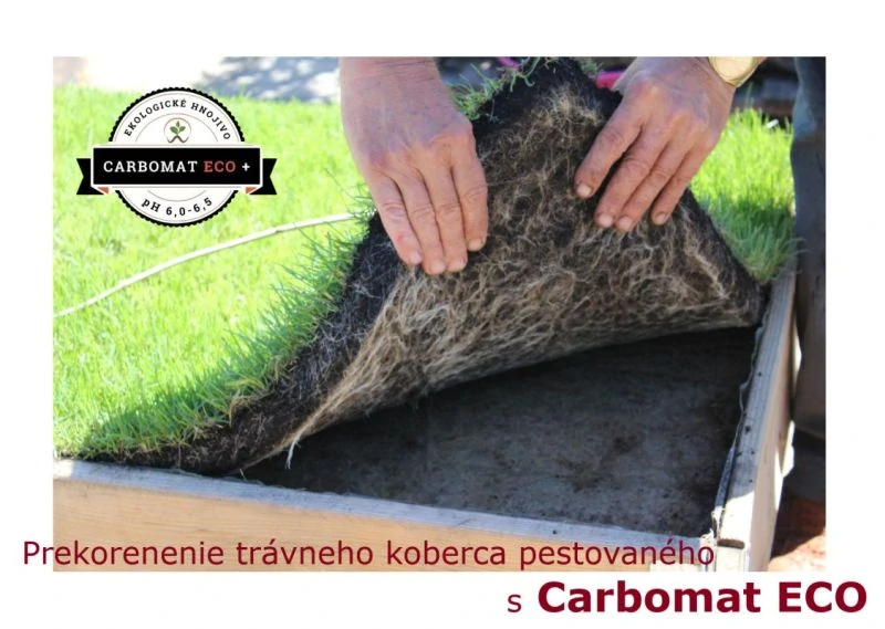 CARBOMAT ECO + 1000l s ph 6,0 - 6,5