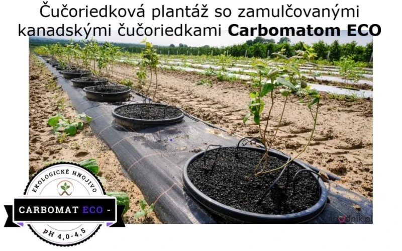 CARBOMAT ECO - 1000l s ph 4,0 - 4,5
