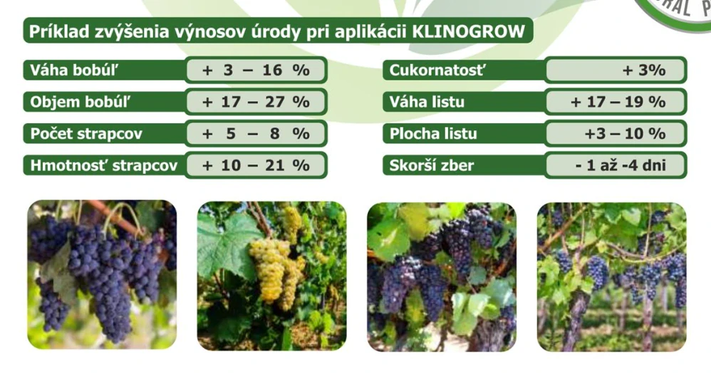 KlinoGrow 15kg