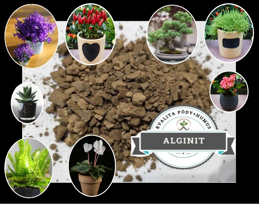 Alginit 5kg