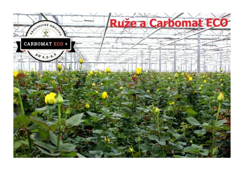 CARBOMAT ECO + 1000l s ph 6,0 - 6,5