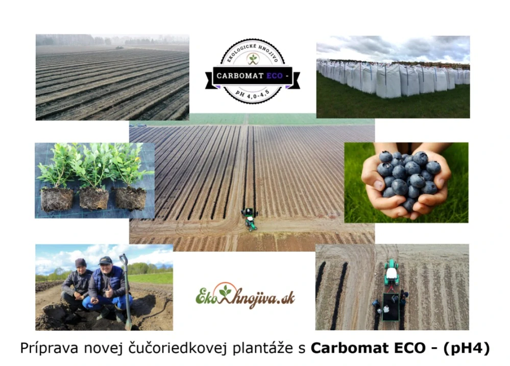CARBOMAT ECO - 1000l s ph 4,0 - 4,5