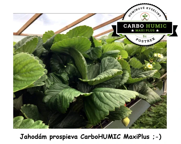 CarboHumic MaxiPlus 250ml